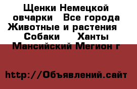 Щенки Немецкой овчарки - Все города Животные и растения » Собаки   . Ханты-Мансийский,Мегион г.